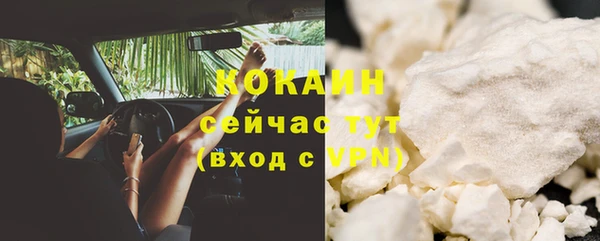 ГАЛЛЮЦИНОГЕННЫЕ ГРИБЫ Гусь-Хрустальный