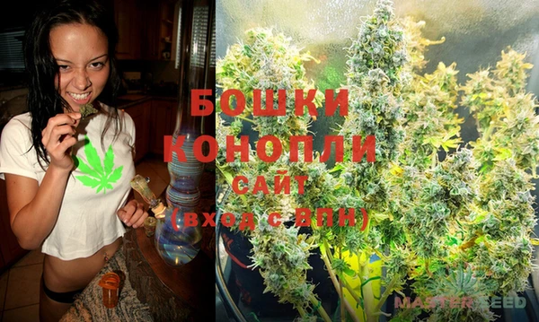 молекула духа Гусев