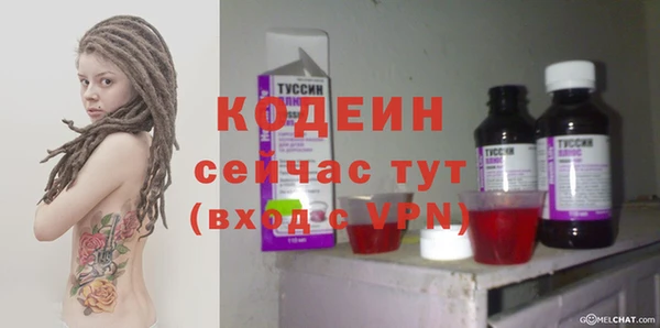 молекула духа Гусев