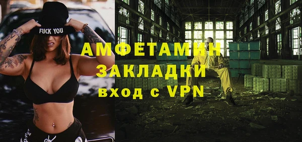 ГАЛЛЮЦИНОГЕННЫЕ ГРИБЫ Гусь-Хрустальный