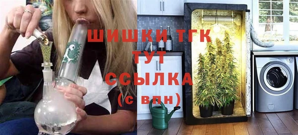 молекула духа Гусев