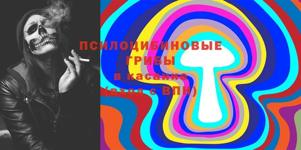 винт Магас