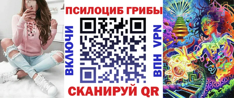 блэк спрут tor  Дедовск  Псилоцибиновые грибы Magic Shrooms  даркнет сайт 