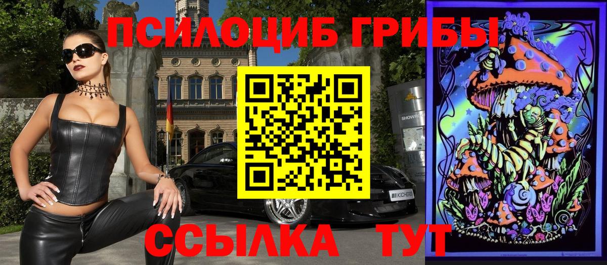 Псилоцибиновые грибы Cubensis  Вход с VPN  Дедовск  закладка  Псилоцибиновые грибы GOLDEN TEACHER 