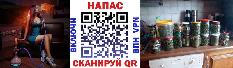 как найти   Дедовск  Бошки Шишки семена 